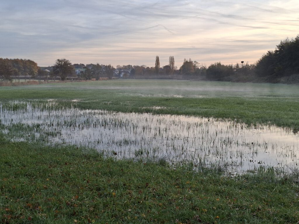 2026-03-12 Klimaschutzkonzept_Bild 1