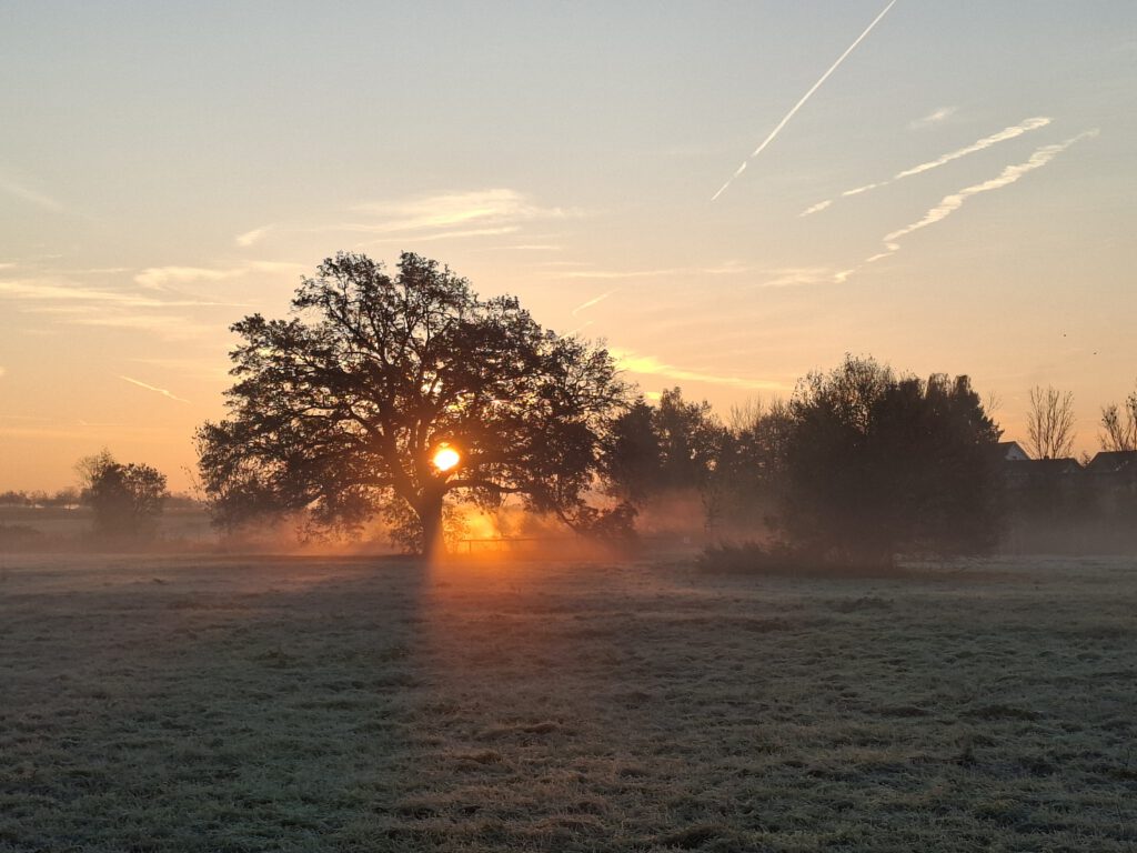 2026-03-12 Klimaschutzkonzept_Bild 2