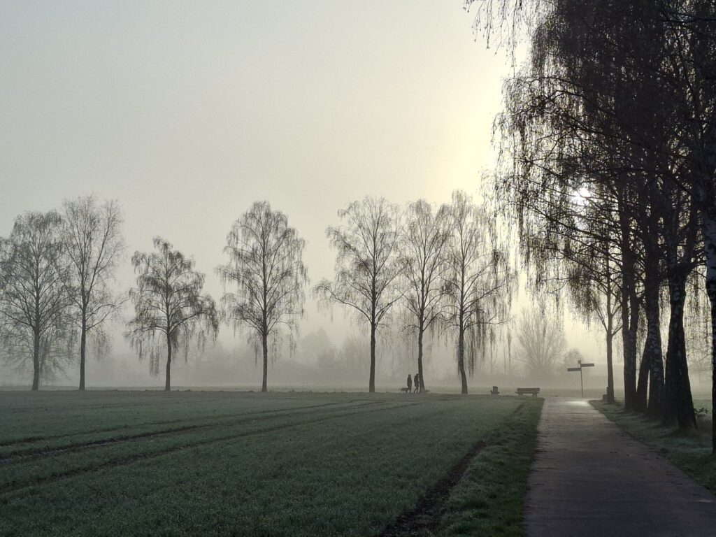 2026-03-12 Klimaschutzkonzept_Bild 3